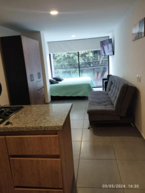 Modern Apartment